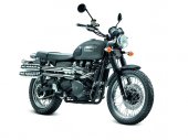 2013 Triumph Scrambler photo